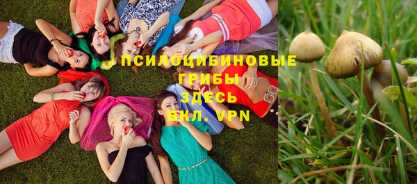 mix Армянск
