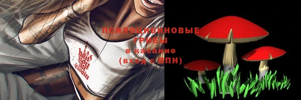 МДПВ Аркадак