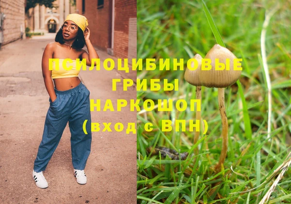 МДПВ Аркадак